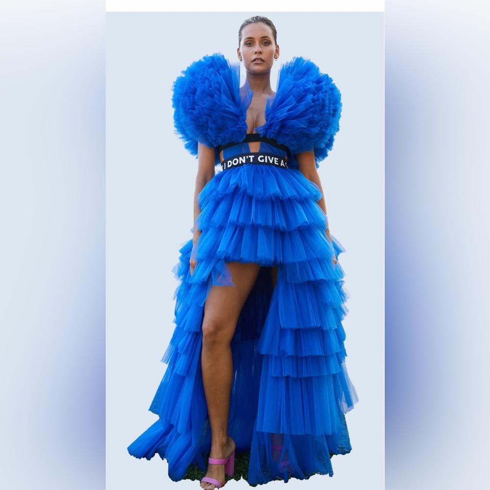 Blue tulle dress by designer Mua Mua. Waist band says “I don’t give a Chic”.